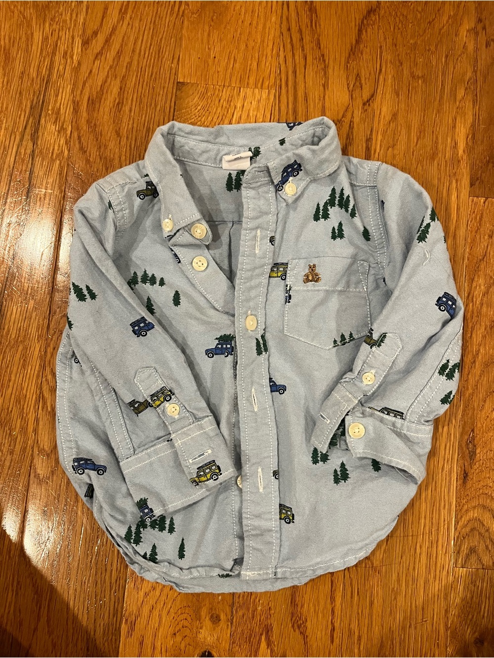 Baby Gap Holiday Oxford